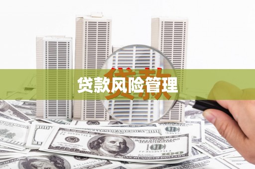 常平贷款风险管理
