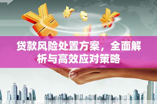 伽师贷款风险处置方案，全面解析与高效应对策略