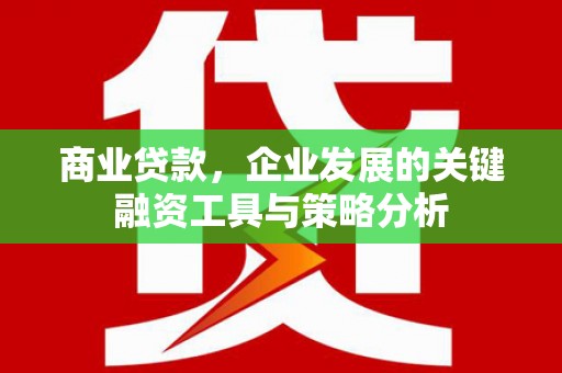 泰顺商业贷款，企业发展的关键融资工具与策略分析