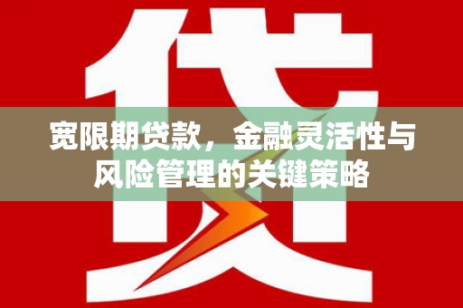 日土宽限期贷款，金融灵活性与风险管理的关键策略