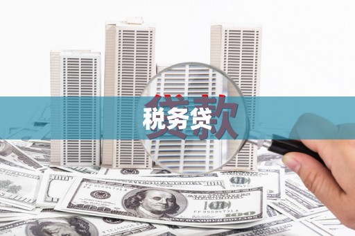 西峰税务贷