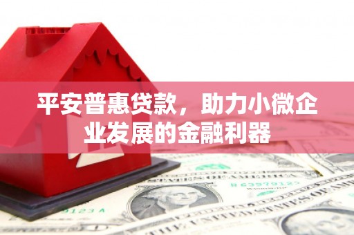 西林平安普惠贷款，助力小微企业发展的金融利器
