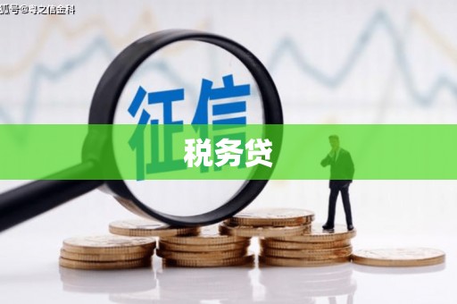 婺城税务贷