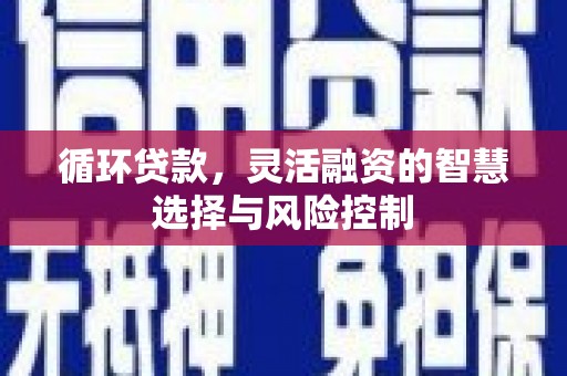 台湾循环贷款，灵活融资的智慧选择与风险控制