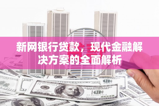 肥东新网银行贷款，现代金融解决方案的全面解析