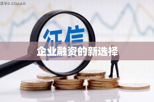 隆子企业融资的新选择