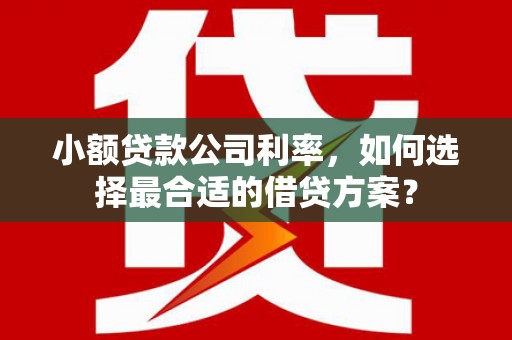 开平小额贷款公司利率，如何选择最合适的借贷方案？