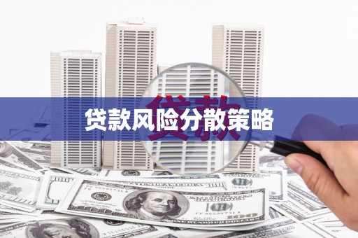 西林贷款风险分散策略