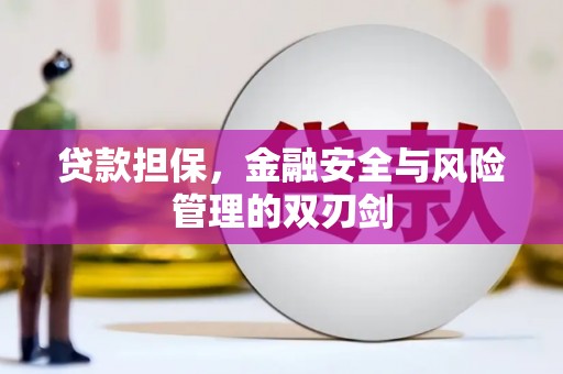 平顶山贷款担保，金融安全与风险管理的双刃剑