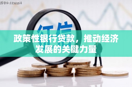 罗平政策性银行贷款，推动经济发展的关键力量