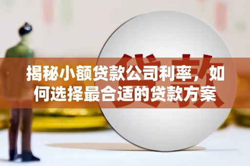 巴马揭秘小额贷款公司利率，如何选择最合适的贷款方案
