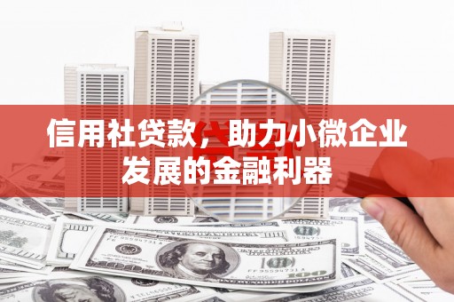 资阳信用社贷款，助力小微企业发展的金融利器