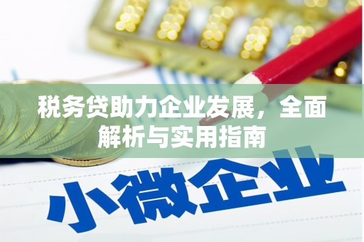 龙山税务贷助力企业发展，全面解析与实用指南