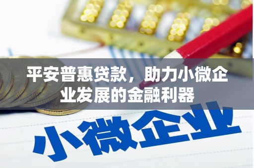 温宿平安普惠贷款，助力小微企业发展的金融利器