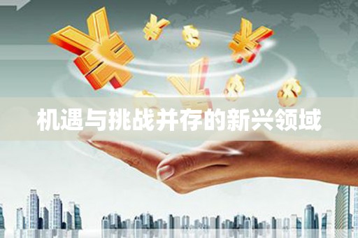 南康机遇与挑战并存的新兴领域