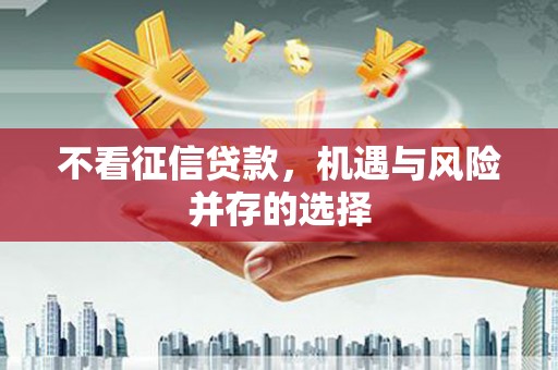 岑巩不看征信贷款，机遇与风险并存的选择