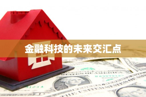 巧家金融科技的未来交汇点