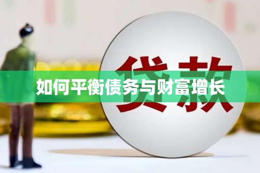 金溪如何平衡债务与财富增长