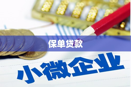 北关保单贷款 北关保单贷款